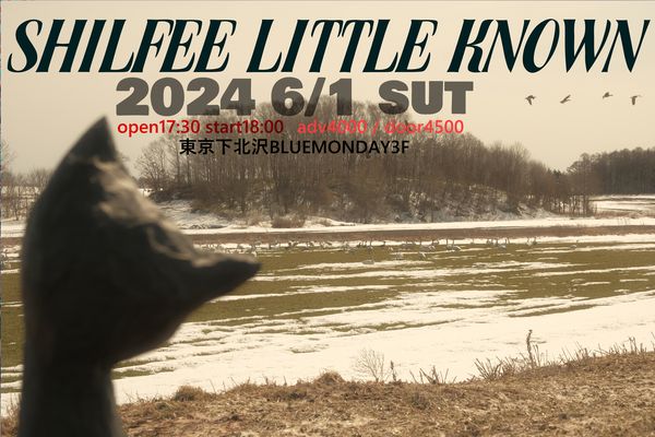 6/1 SHILFEE LITTLE KNOWN