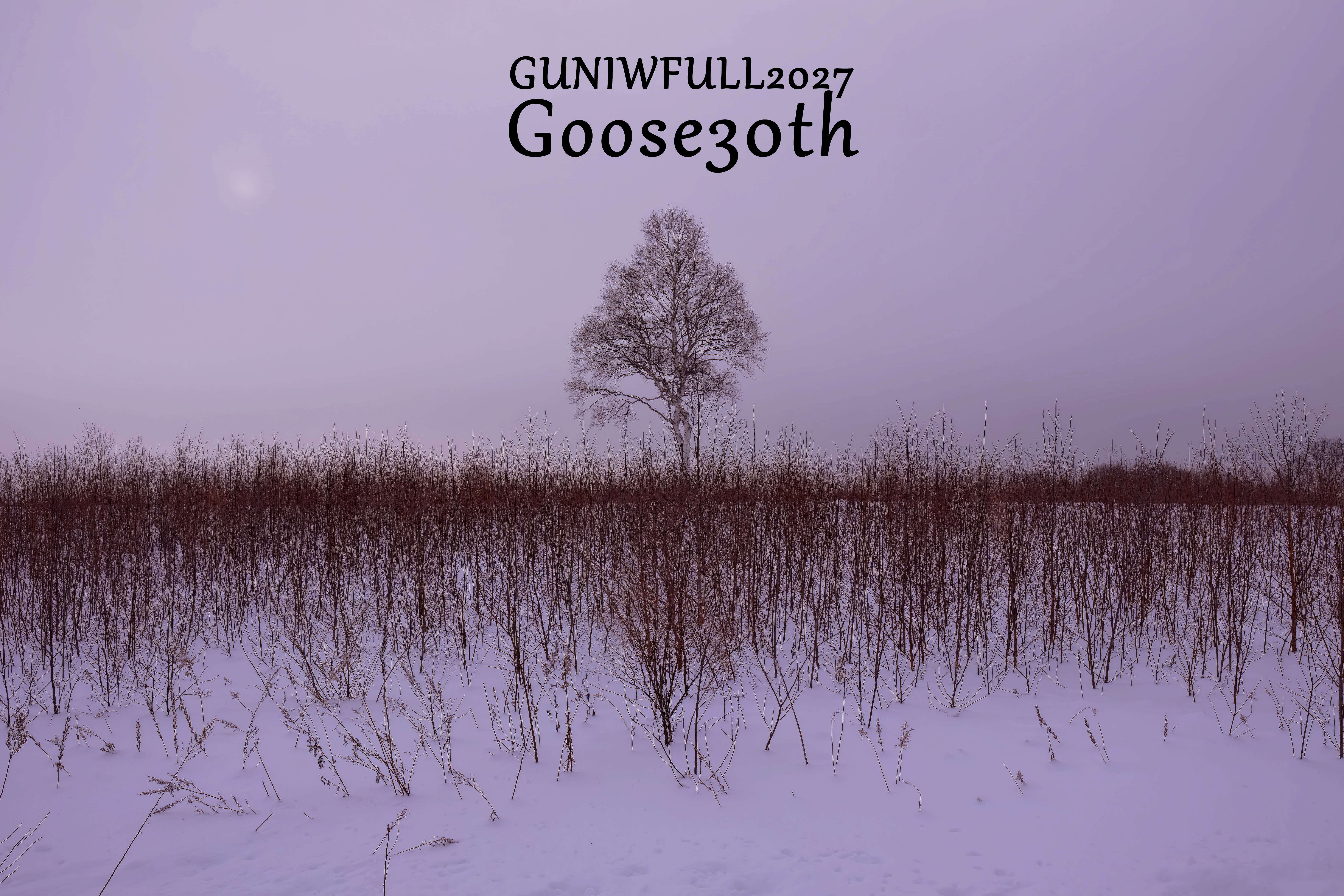 Goose30TH-eve